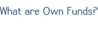 What are Own Funds?