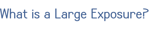 What is a Large Exposure?